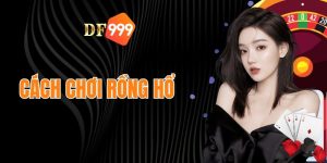 thông tin về cách chơi Rồng Hổ