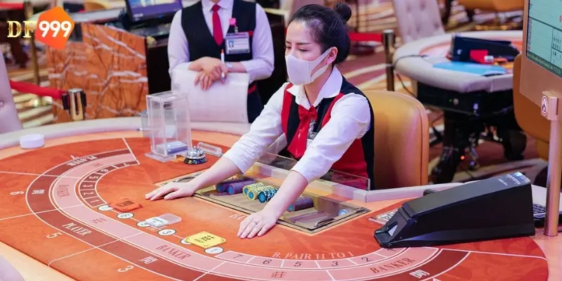 Tìm hiểu thêm thông tin về casino DF999