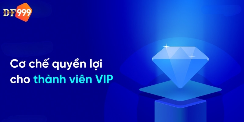 Vip còn nhận nhiều quyền lợi khác